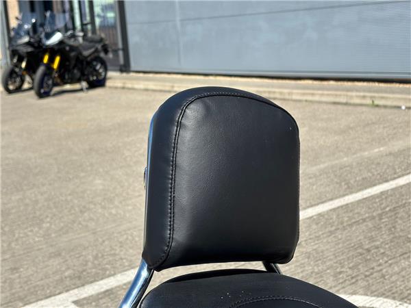 2021 HARLEY-DAVIDSON SOFTAIL STANDARD 