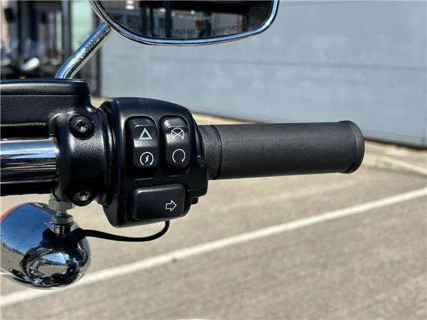 2021 HARLEY-DAVIDSON SOFTAIL STANDARD 