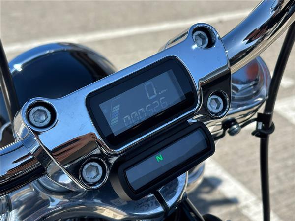 2021 HARLEY-DAVIDSON SOFTAIL STANDARD 