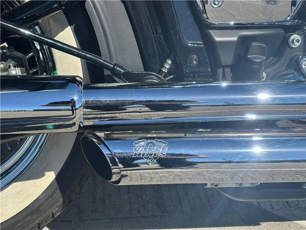 2019 HARLEY-DAVIDSON SOFTAIL FLDE DELUXE