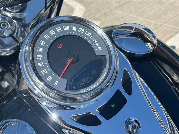 2019 HARLEY-DAVIDSON SOFTAIL FLDE DELUXE