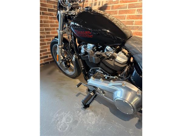2025 harley-davidson FXST Softail Standard 107 (35KW possible)