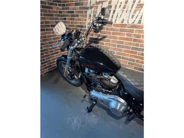 2025 harley-davidson FXST Softail Standard 107 (35KW possible)