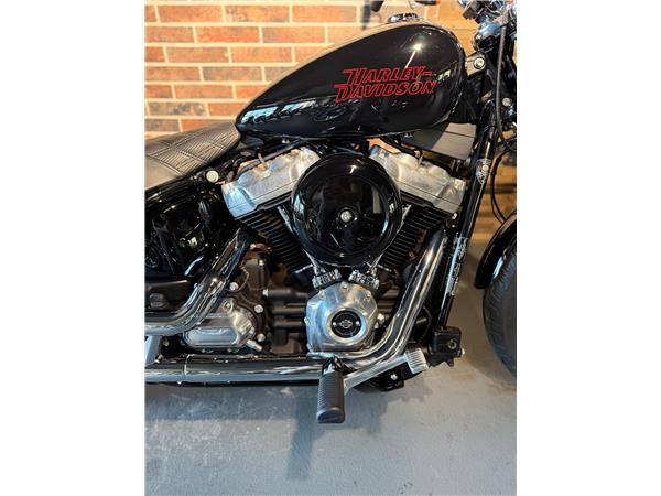 2025 harley-davidson FXST Softail Standard 107 (35KW possible)