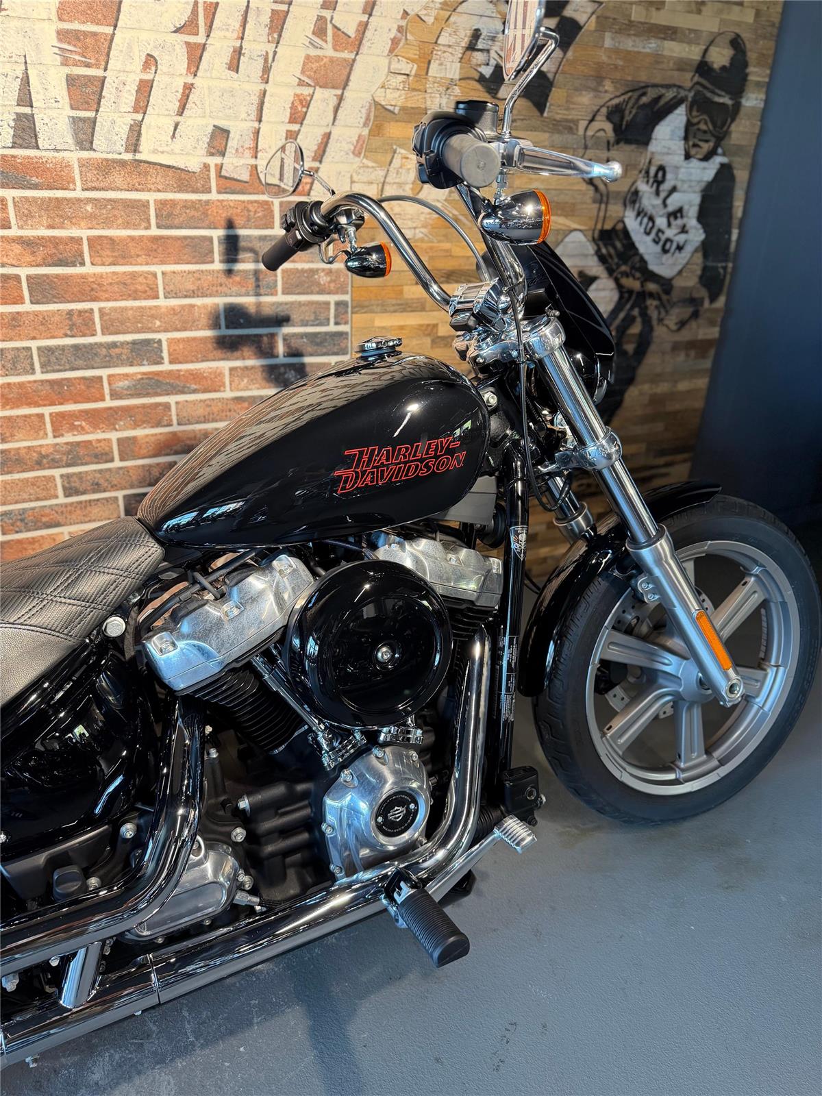 2025 harley-davidson FXST Softail Standard 107 (35KW possible)