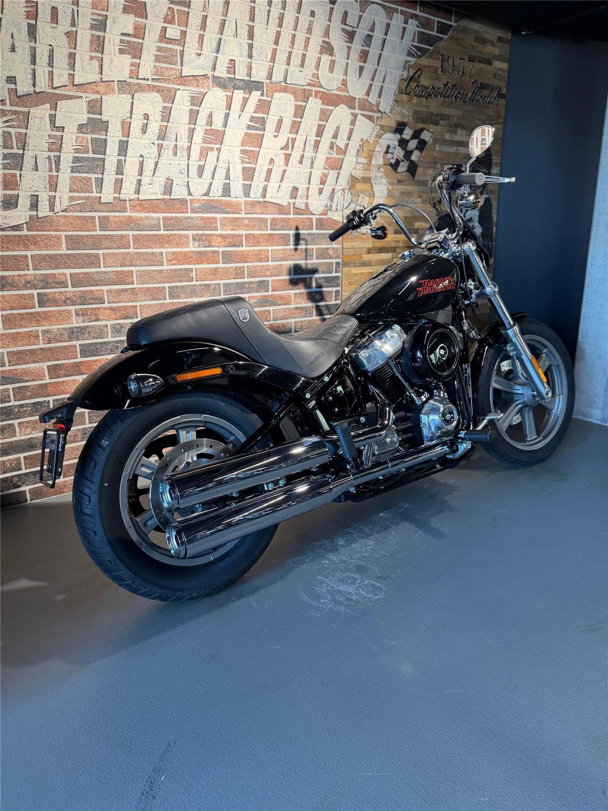 2025 harley-davidson FXST Softail Standard 107 (35KW possible)