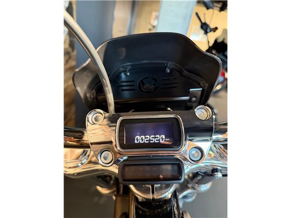 2025 harley-davidson FXST Softail Standard 107 (35KW possible)