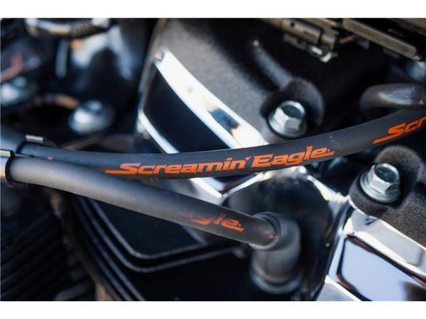 2018 Harley-Davidson Fat Bob 114