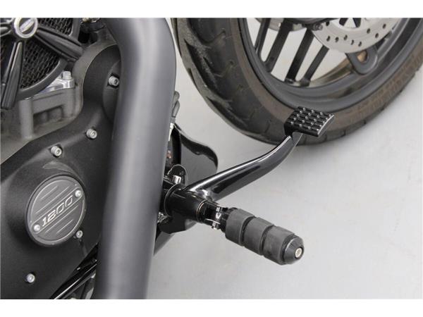 2016 Harley-Davidson Roadster