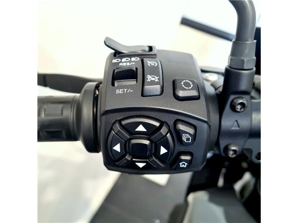 HARLEY-DAVIDSON PAN AMERICA