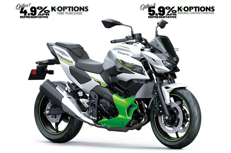 Metallic Bright Silver + Metallic Matte Lime Green + Ebony