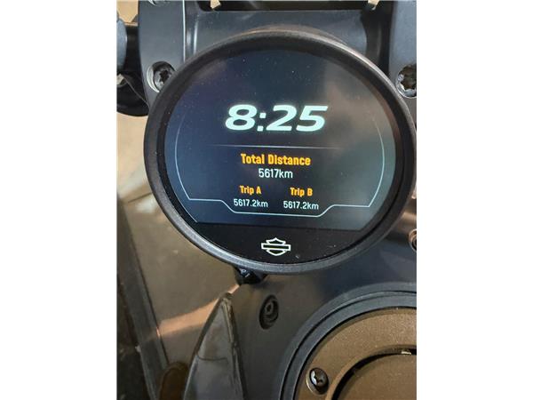 2022 HARLEY-DAVIDSON SPORTSTER 1250