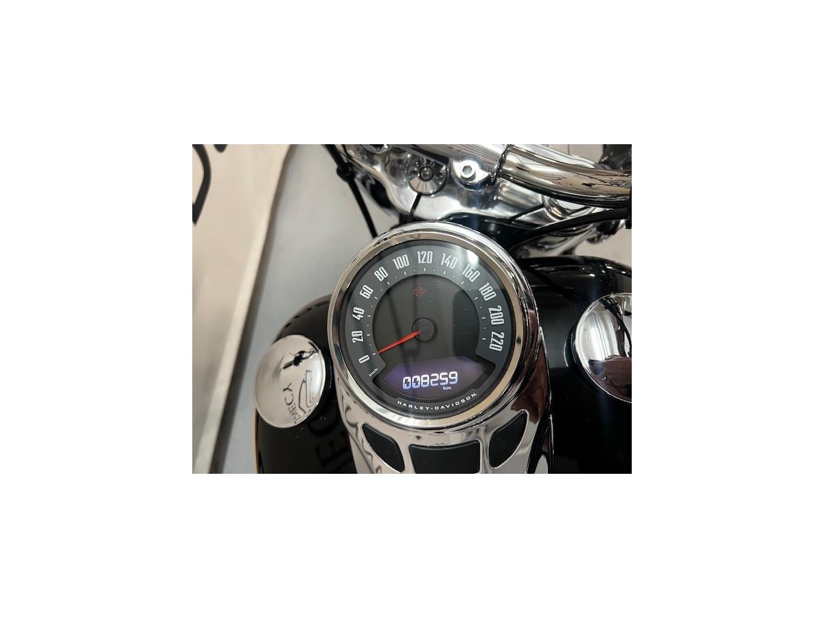 2021 HARLEY-DAVIDSON HERITAGE