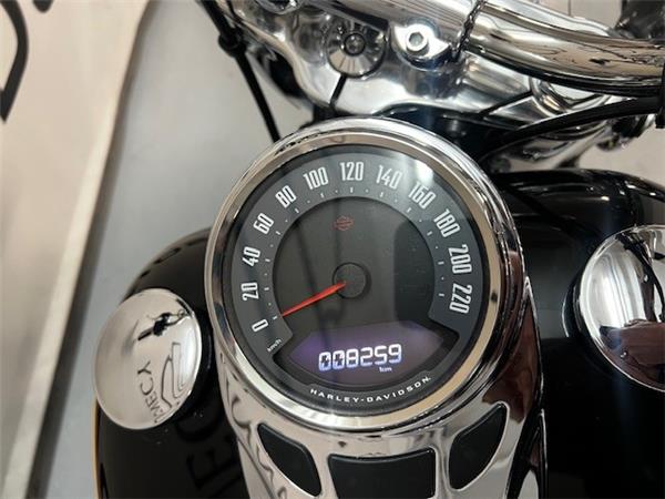 2021 HARLEY-DAVIDSON HERITAGE
