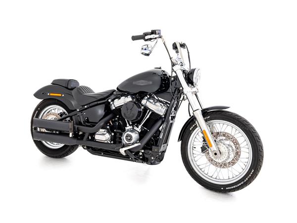 2021 harley-davidson FXST Softail Standard 107