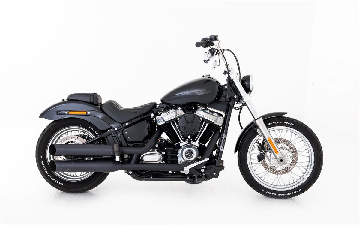 2021 harley-davidson FXST Softail Standard 107