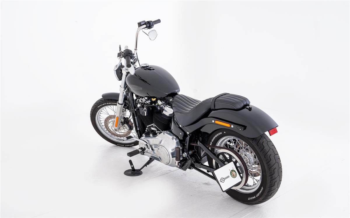 2021 harley-davidson FXST Softail Standard 107
