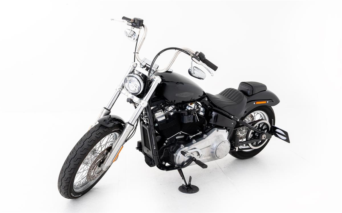 2021 harley-davidson FXST Softail Standard 107
