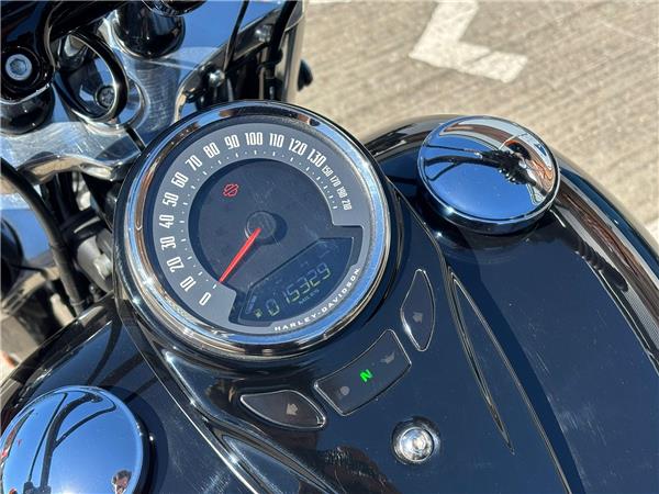 2021 HARLEY-DAVIDSON SOFTAIL FLSL SLIM