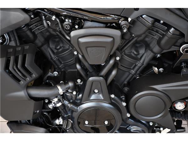 2026 HARLEY-DAVIDSON NIGHTSTER 975
