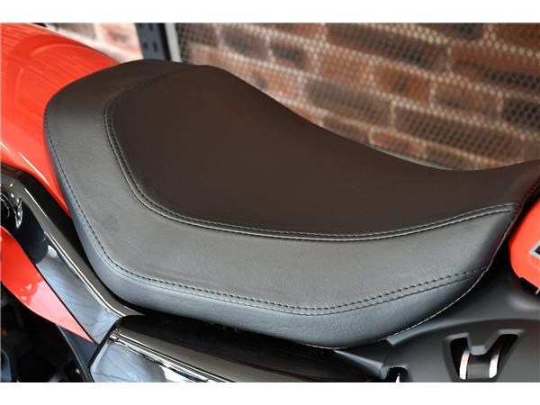 2026 HARLEY-DAVIDSON NIGHTSTER 975