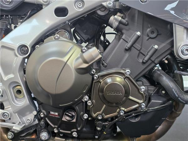 2024 YAMAHA XSR900 GP