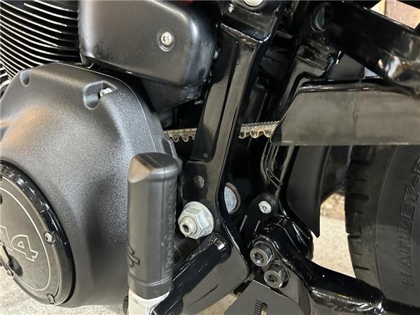 2022 Harley-Davidson Softail