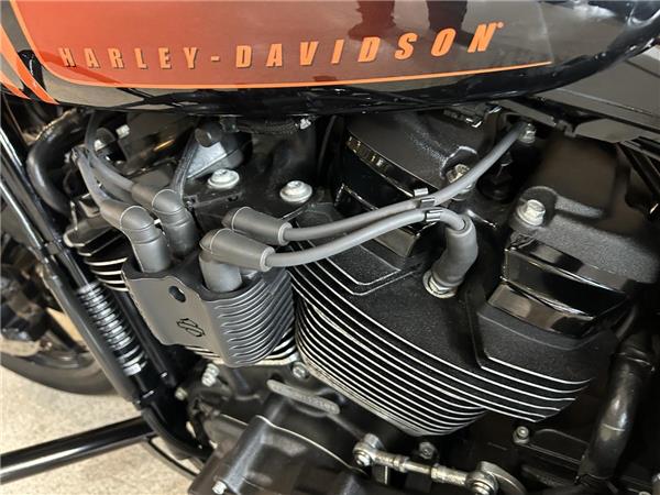2022 Harley-Davidson Softail