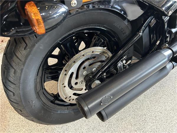 2022 Harley-Davidson Softail
