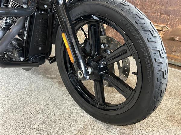 2022 Harley-Davidson Softail