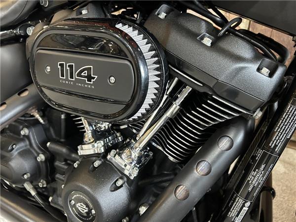 2022 Harley-Davidson Softail