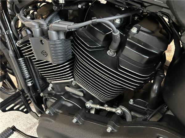 2022 Harley-Davidson Softail