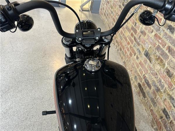 2022 Harley-Davidson Softail