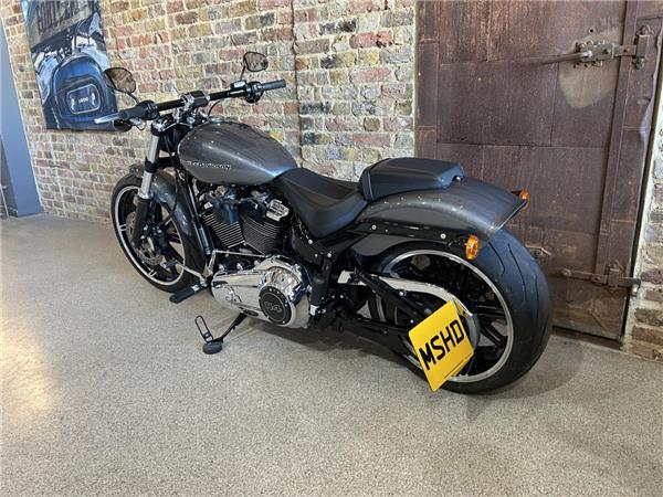 2022 Harley-Davidson Softail