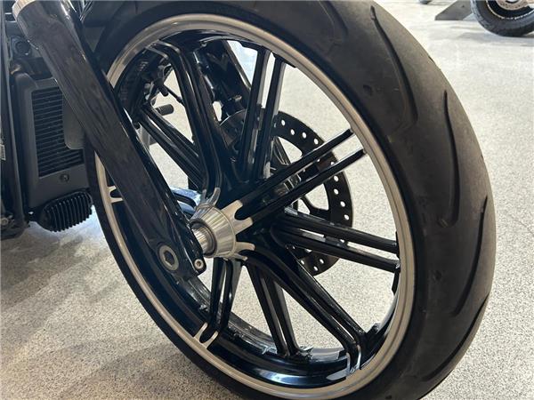 2022 Harley-Davidson Softail