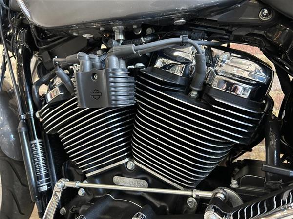 2022 Harley-Davidson Softail