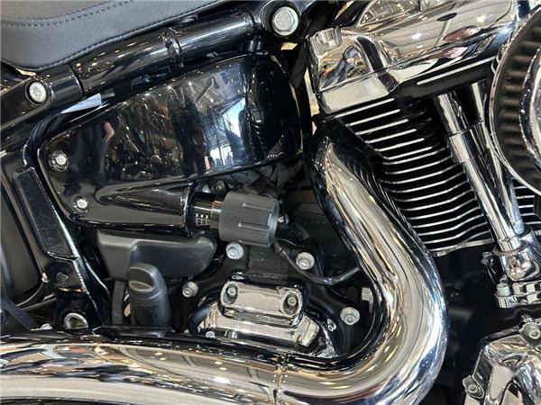 2022 Harley-Davidson Softail