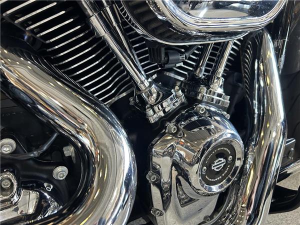 2022 Harley-Davidson Softail