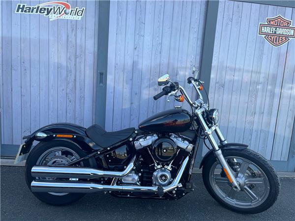 2024 HARLEY-DAVIDSON SOFTAIL STANDARD 
