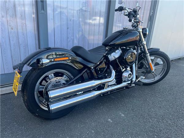 2024 HARLEY-DAVIDSON SOFTAIL STANDARD 