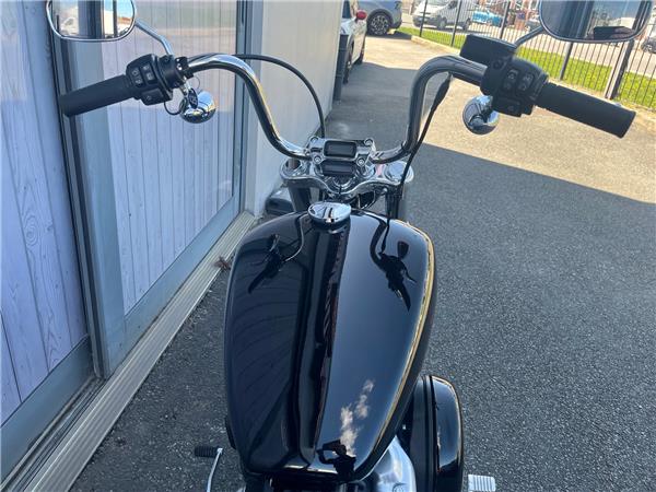 2024 HARLEY-DAVIDSON SOFTAIL STANDARD 