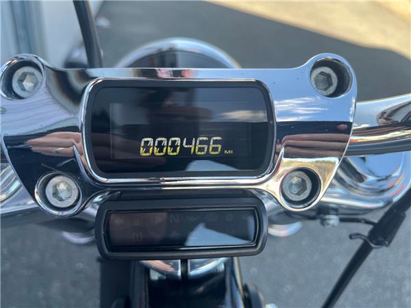 2024 HARLEY-DAVIDSON SOFTAIL STANDARD 