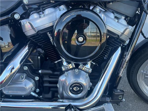 2024 HARLEY-DAVIDSON SOFTAIL STANDARD 