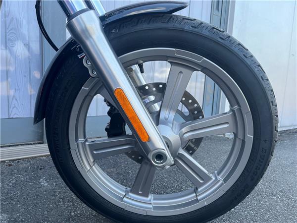 2024 HARLEY-DAVIDSON SOFTAIL STANDARD 