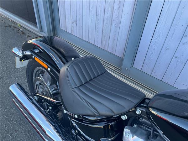 2024 HARLEY-DAVIDSON SOFTAIL STANDARD 