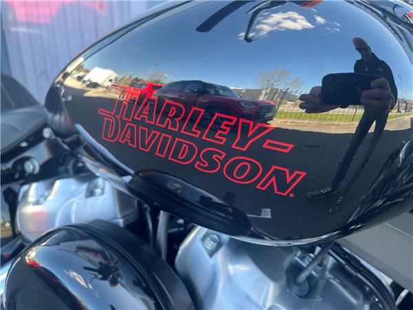 2024 HARLEY-DAVIDSON SOFTAIL STANDARD 