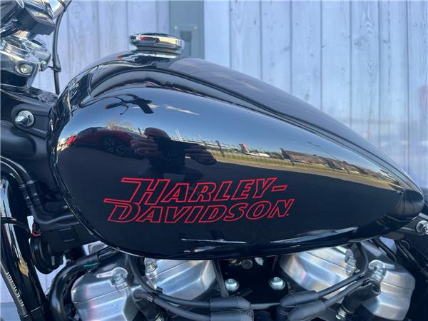 2024 HARLEY-DAVIDSON SOFTAIL STANDARD 