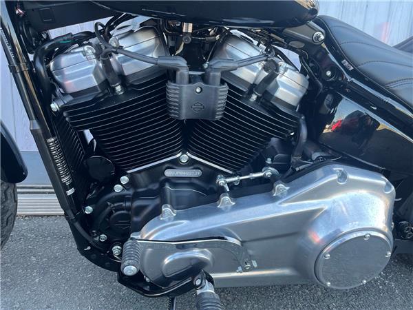 2024 HARLEY-DAVIDSON SOFTAIL STANDARD 