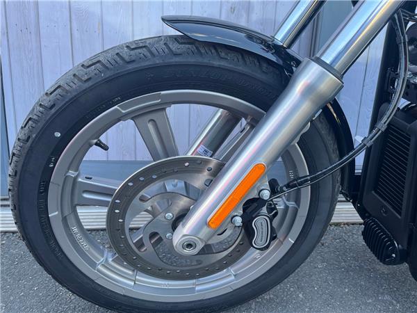 2024 HARLEY-DAVIDSON SOFTAIL STANDARD 