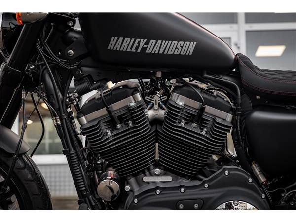 Harley-Davidson XL1200CX Sportster Roadster - PENZL V2